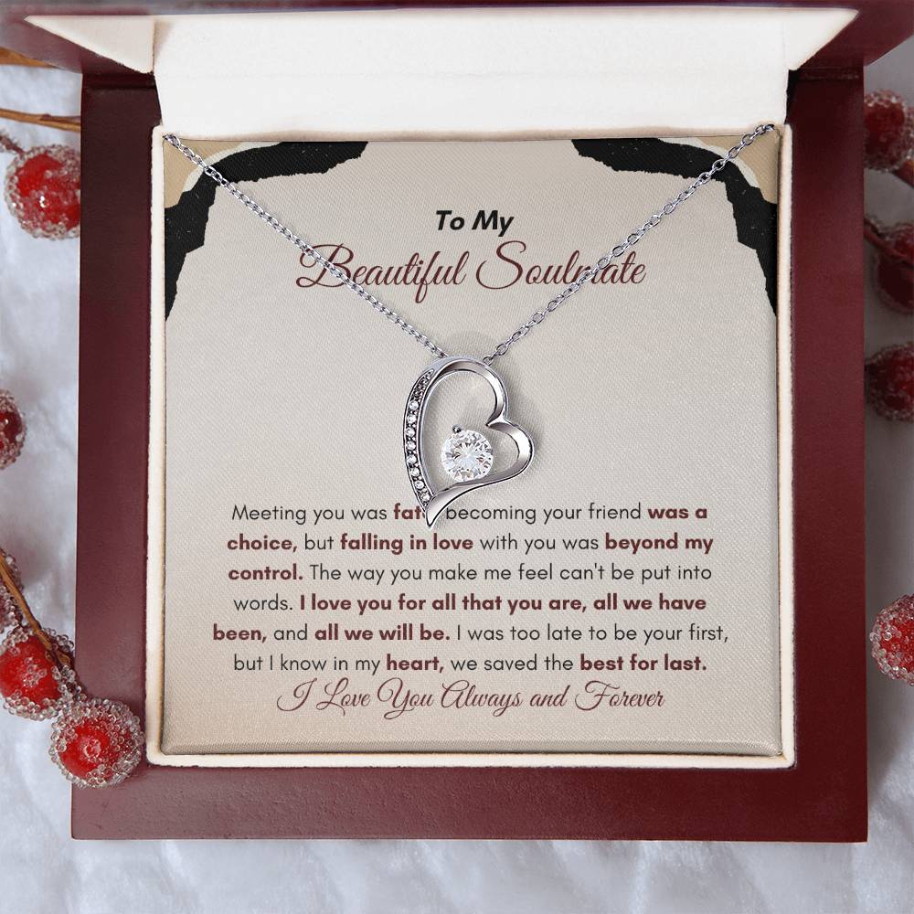To My Soulmate | Meeting You Was Fate | Forever Love Necklace
