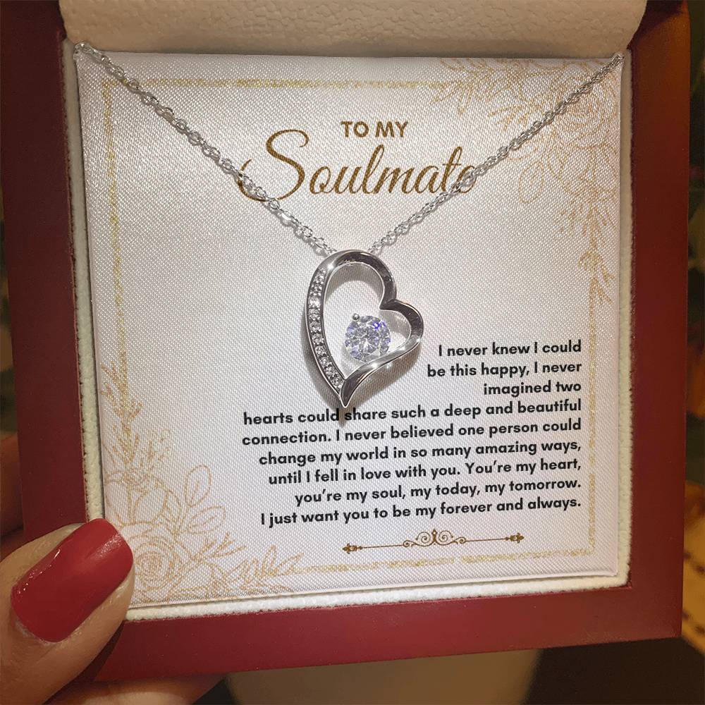 To My Soulmate | I Never Knew I Could | Forever Love Necklace