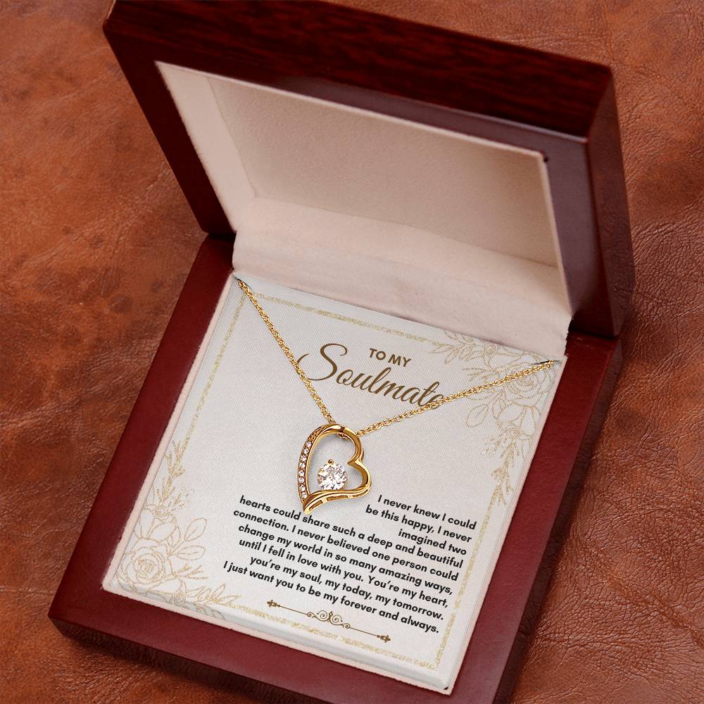To My Soulmate | I Never Knew I Could | Forever Love Necklace