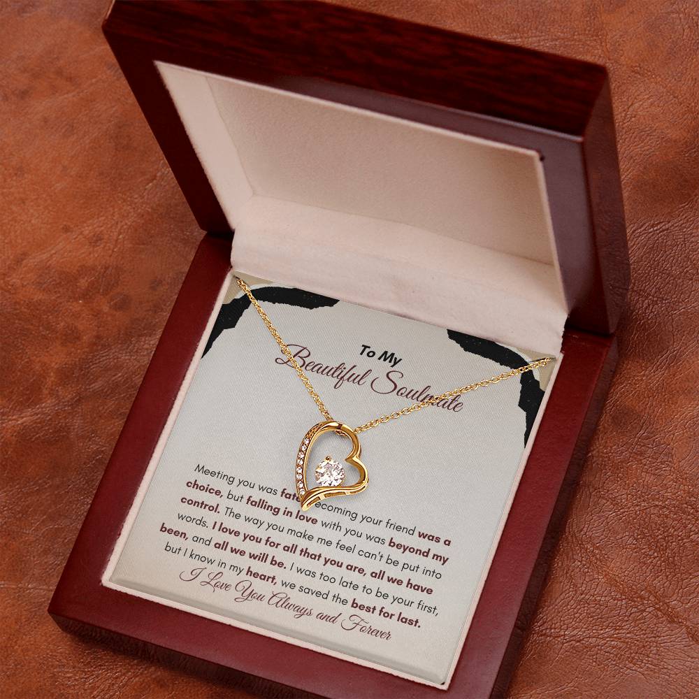 To My Soulmate | Meeting You Was Fate | Forever Love Necklace