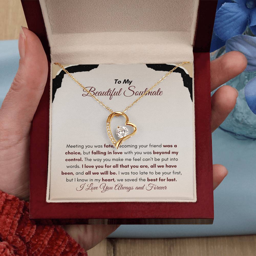 To My Soulmate | Meeting You Was Fate | Forever Love Necklace