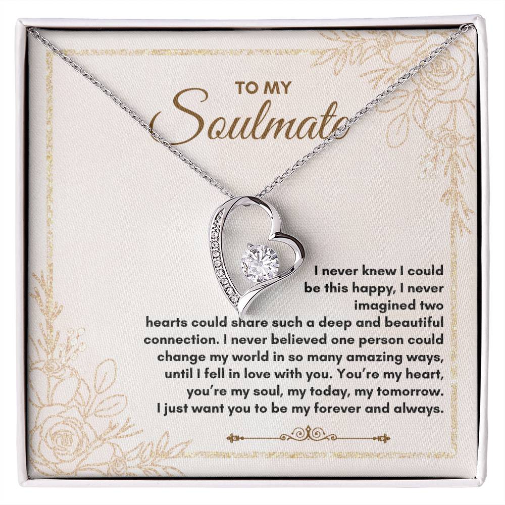 To My Soulmate | I Never Knew I Could | Forever Love Necklace