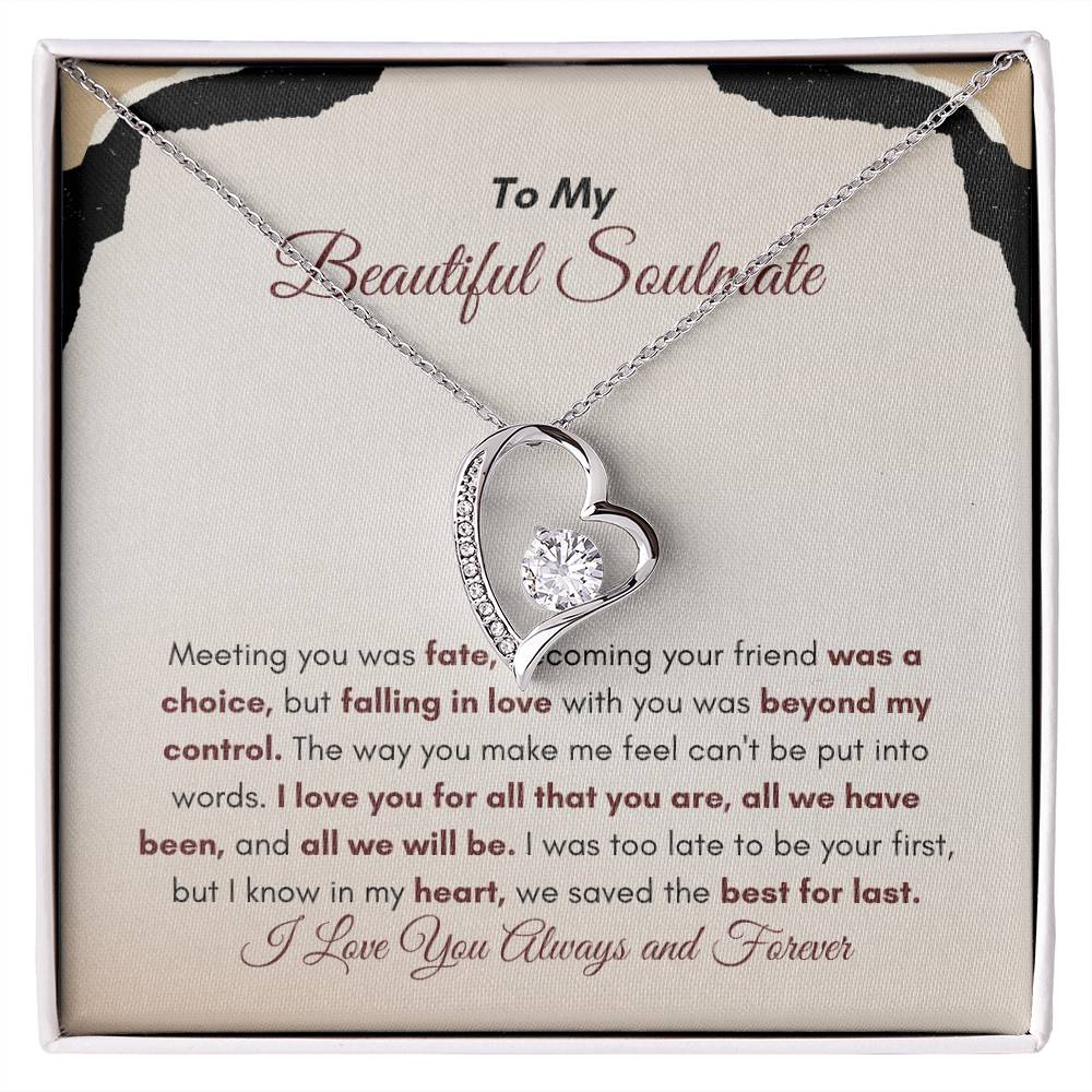 To My Soulmate | Meeting You Was Fate | Forever Love Necklace