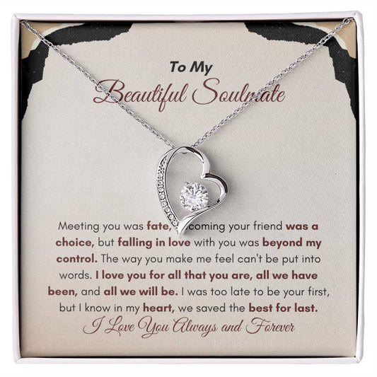 To My Soulmate | Meeting You Was Fate | Forever Love Necklace
