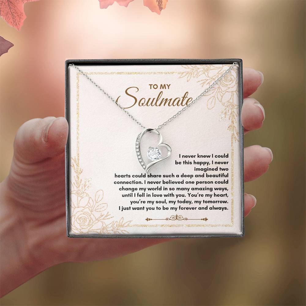 To My Soulmate | I Never Knew I Could | Forever Love Necklace