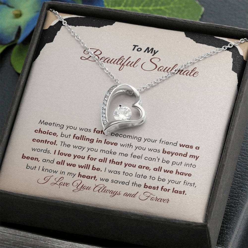 To My Soulmate | Meeting You Was Fate | Forever Love Necklace