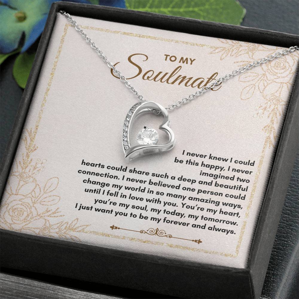 To My Soulmate | I Never Knew I Could | Forever Love Necklace