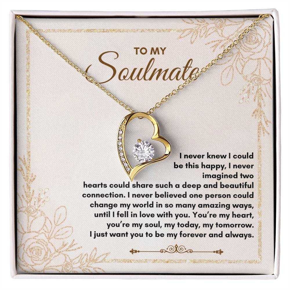 To My Soulmate | I Never Knew I Could | Forever Love Necklace