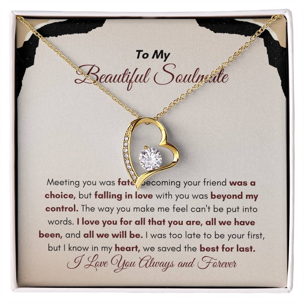 To My Soulmate | Meeting You Was Fate | Forever Love Necklace