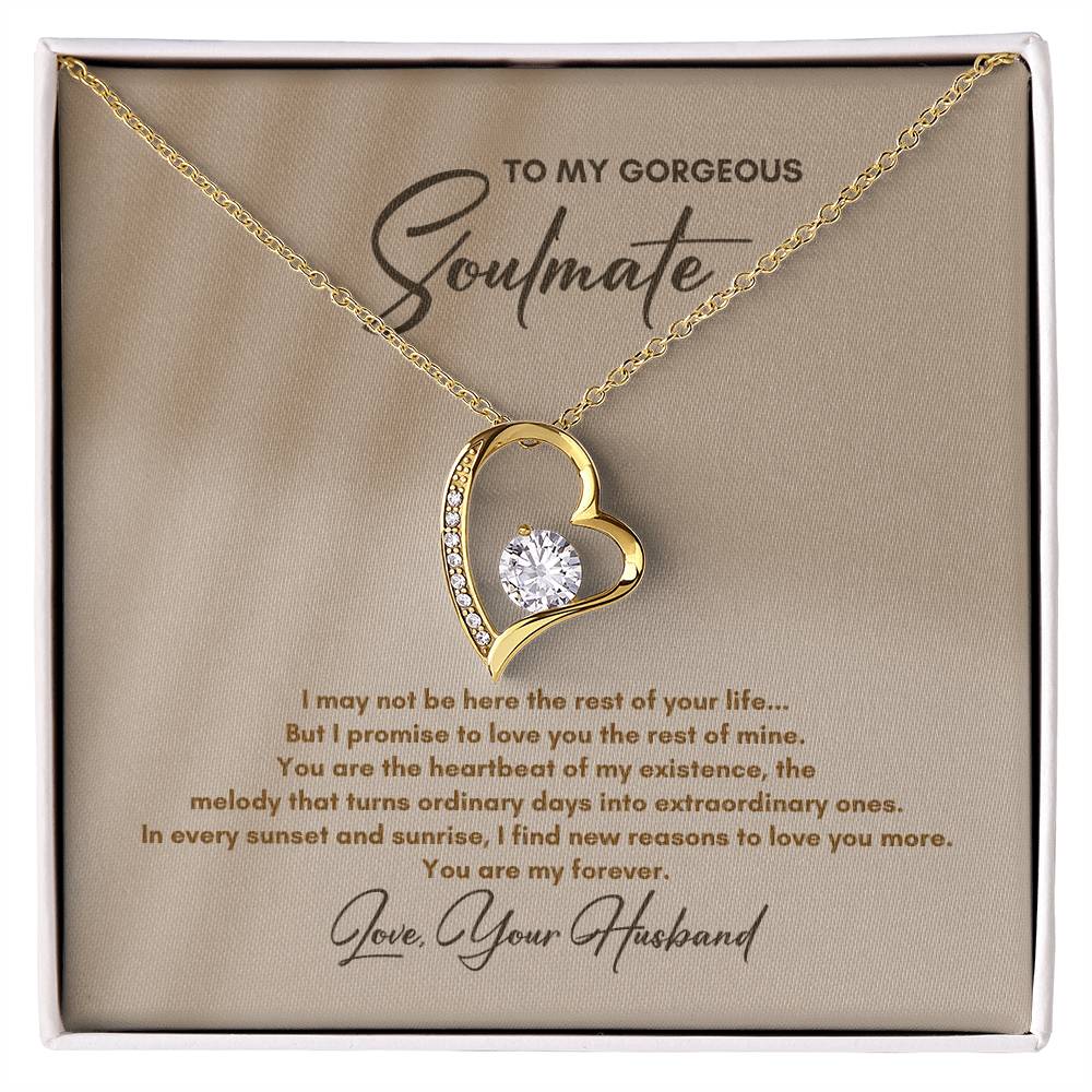 To My Soulmate | I May Not Be Here | Forever Love Necklace