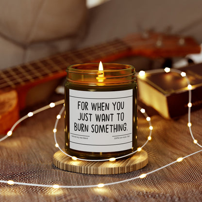 Funny | For When You | Scented Candles, Coconut Apricot Wax  9oz