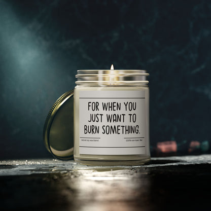 Funny | For When You | Scented Candles, Coconut Apricot Wax  9oz