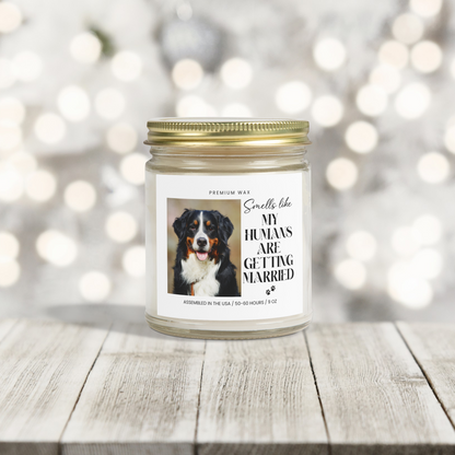 Scented Candles, Coconut Apricot Wax (4oz, 9oz)