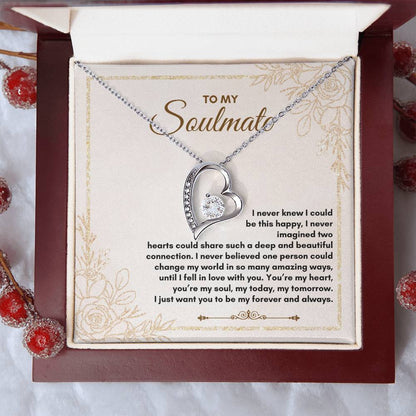 To My Soulmate | I Never Knew I Could | Forever Love Necklace