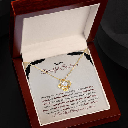 To My Soulmate | Meeting You Was Fate | Love Knot Necklace