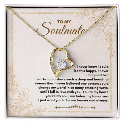 To My Soulmate | I Never Knew I Could | Forever Love Necklace
