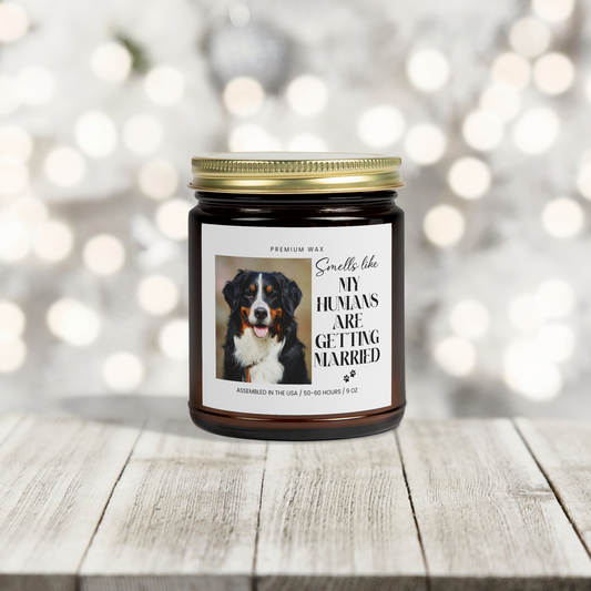 Scented Candles, Coconut Apricot Wax (4oz, 9oz)